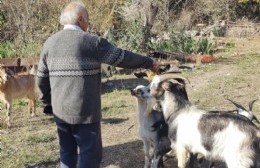 Néstor Leota y su receta para la paz: "Apagando la radio y la tele para no enterarme de nada"