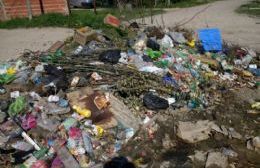 Malestar de los vecinos por un gigantesco basural en el Barrio Obrero