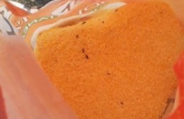 Vecino indignado por “bichos en la polenta” de la bolsa municipal