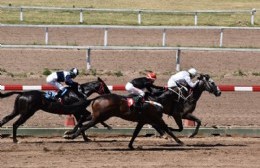 Hipódromo de La Plata: Se disputó el Premio "Ciudad de Berisso"