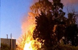 Alarma por incendio en un cañaveral