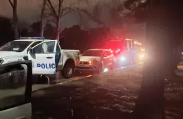 Despistó y chocó contra un árbol en 60 y 137