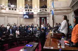 El Senado le dice 