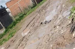 Hartazgo vecinal: calle 146 “intransitable”