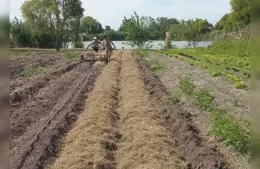 Se dictarán talleres de huertas agroecológicas