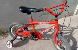 Robaron la bicicleta de Pedrito en Villa Progreso y su familia pide ayuda para recuperarla