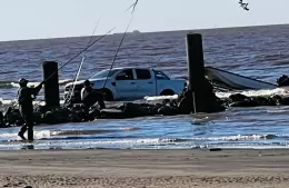 ¡Ahí los tenés! Cadena de varamientos en Palo Blanco