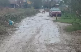 Crece el malestar de los vecinos de la calle 146 y 11 por el estado de las calles: 