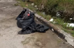 C&iacute;rculo vicioso en 152 entre 14 y 15: &ldquo;Limpiamos y a las dos horas de nuevo basura&rdquo;