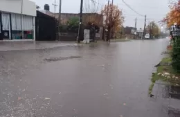 ¿Las calles de Venecia o las calles de Berisso?