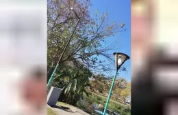 Comenzaron a reponer los cables robados en la zona de la Carlos Gardel