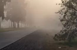 Máxima precaución al volante: otra vez la niebla cubre la región