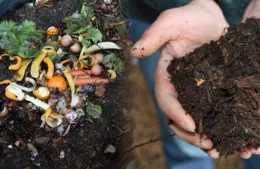 Abrieron las inscripciones para las Actividades Educativas Ambientales 2026