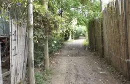 Conflicto en Isla Santiago: denuncias ambientales y voces cruzadas