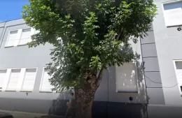 Grave situación en la Escuela Primaria N°6 de Berisso: 54 alumnos hacinados en un aula por falta de docentes
