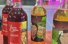 Ya vivimos la Fiesta Provincial del Vino de la Costa: “El trabajo en los viñedos es increíble”