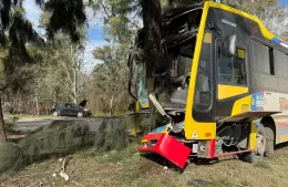 Accidente del micro 202: Scafati confirm&oacute; unos 20 heridos y el corte total de la avenida 60