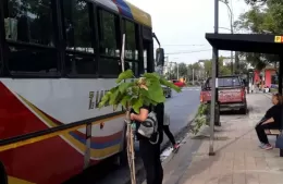Anticipan desvíos en los recorridos de colectivos