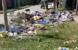 Preocupación por basural con ratas al frente de la Escuela N° 501