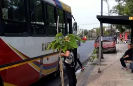 Preocupación: vecinos aseguran que los colectivos no ingresan a la ciudad y recortan recorridos