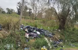 Vecinos reclaman por abandono, basura y presencia de roedores
