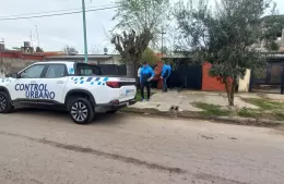 Desarticularon una campaña visual ilegal que iba a realizarse en un domicilio particular