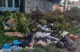 Bronca en 32 y 129 por acumulación de basura