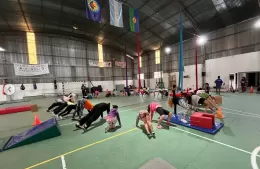 Exitoso encuentro de gimnasia artística y telas