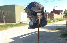 Inquietud en 10 entre 147 y 148: no pasa el recolector y se acumula la basura