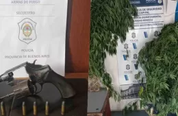 Allanamiento que derivó en el secuestro de armas de fuego y plantas de marihuana