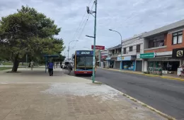 Con la vuelta a clases, las líneas 202 y 214 funcionan con normalidad entre Berisso y La Plata