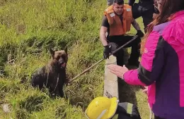 Bomberos lograron rescatar a un perro que había quedado atrapado en el canal de la Génova