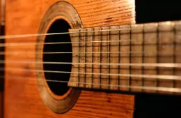 Culmina una nueva edición de la Fiesta de los Provincianos