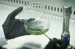 Desarollo de Y-TEC purifica aire a partir de microalgas nativas