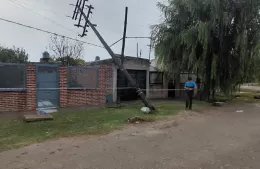 Temporal en Berisso: caída de postes, calles afectadas y múltiples reclamos por falta de luz