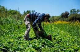 “Hay que seguir militando la agroecología y esta forma de producir”
