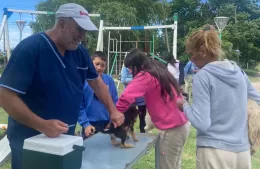 Nueva jornada de vacunación antirrábica