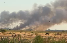 Incendio de pastizales en Los Talas: no hay peligro para la población