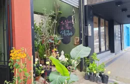 Berisso florece: la viver&iacute;a que conquist&oacute; el D&iacute;a de la Madre con fresias, rosas y opciones para todos los bolsillos