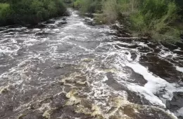 Llega a Berisso la iniciativa internacional Walking Rivers 2026